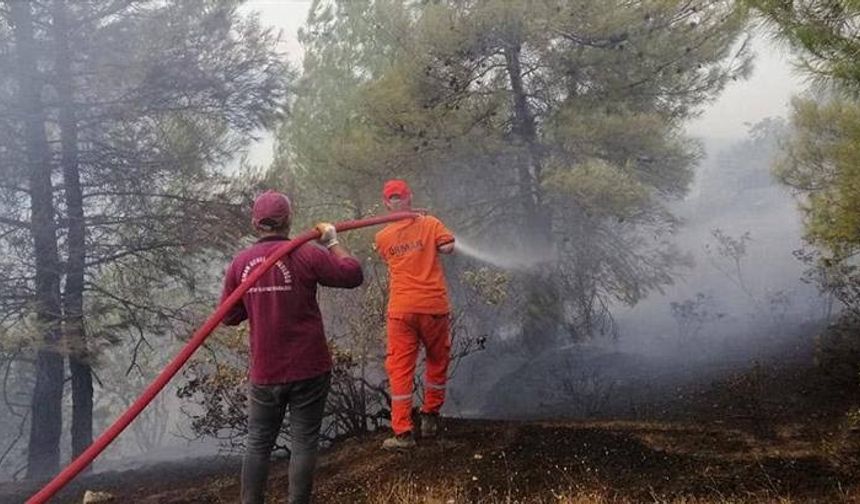 Kahramanmaraş’ta, 15 hektar orman yangında zarar gördü