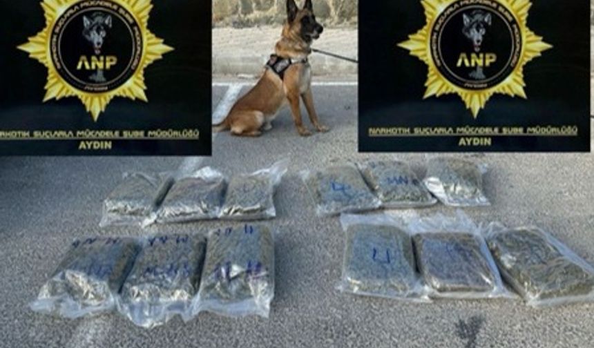 Kuşadası'nda, otomobilde 13 kilogram skunk ele geçirildi