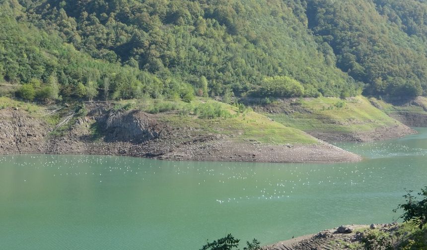 Yuvacık barajında sular çekildi, eski köprü ortaya çıktı