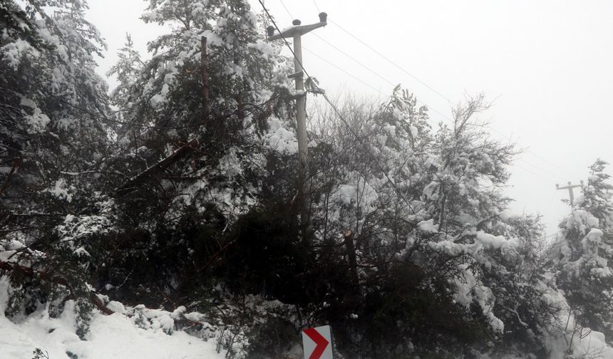 Abant Gölü Milli Parkı'nda kar güzelliği