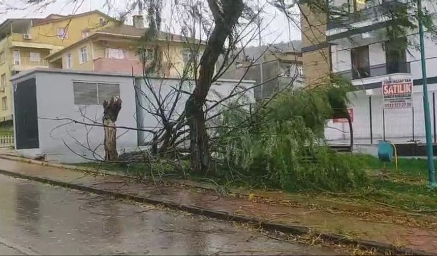 Sağanak yağış ve rüzgar nedeniyle ağaçlar devrildi, altgeçidi su bastı