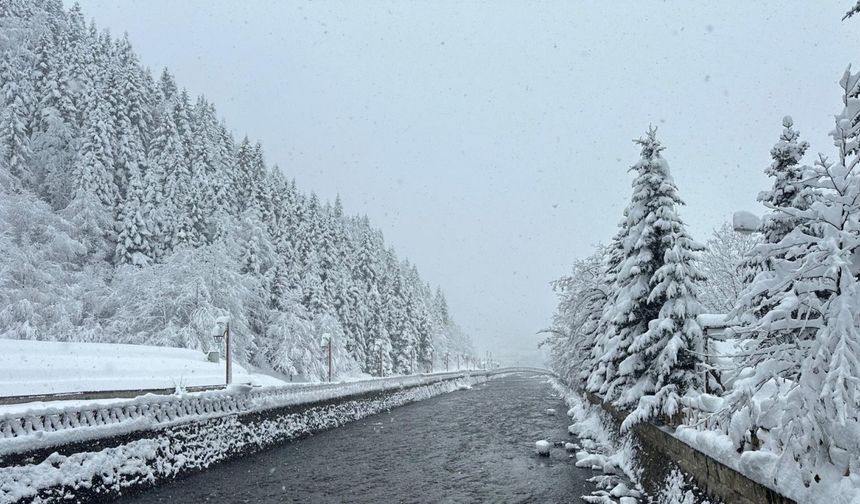 Uzungöl ve Ayder'de kar nedeniyle unutulmaz görüntüler