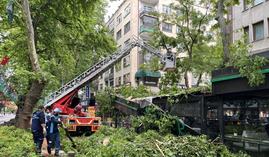 Çınar ağacı kafenin üzerine devrildi