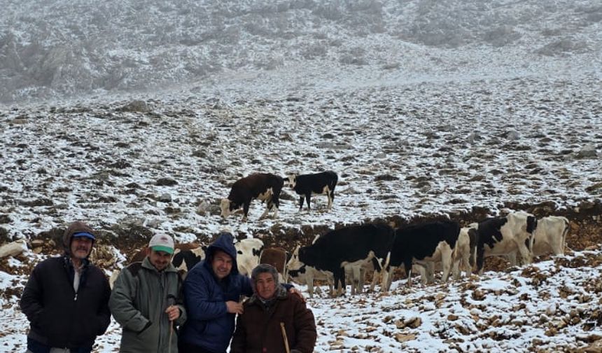 Adana'nın yüksek kesimlerine kar yağdı; yaylada mahsur kalan kadını komşuları kurtardı