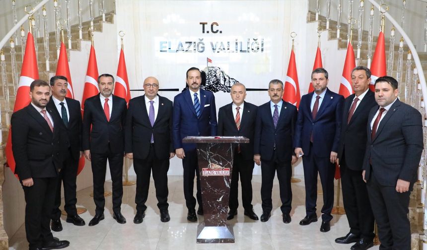 AK Parti'li Zorlu: Ülkelerini, seçilmiş Cumhurbaşkanını şikayet etme politikası izliyorlar