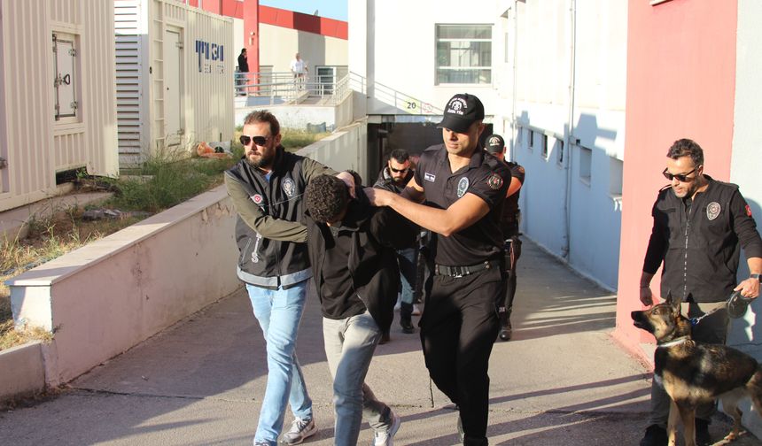 ‘Bayğaralar' suç örgütüne yönelik operasyonda 96 tutuklama