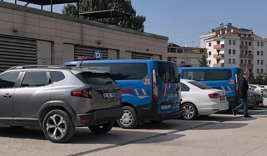 Ceviz toplamak için çıktığı ağaçtan düşüp öldü / Video eklendi
