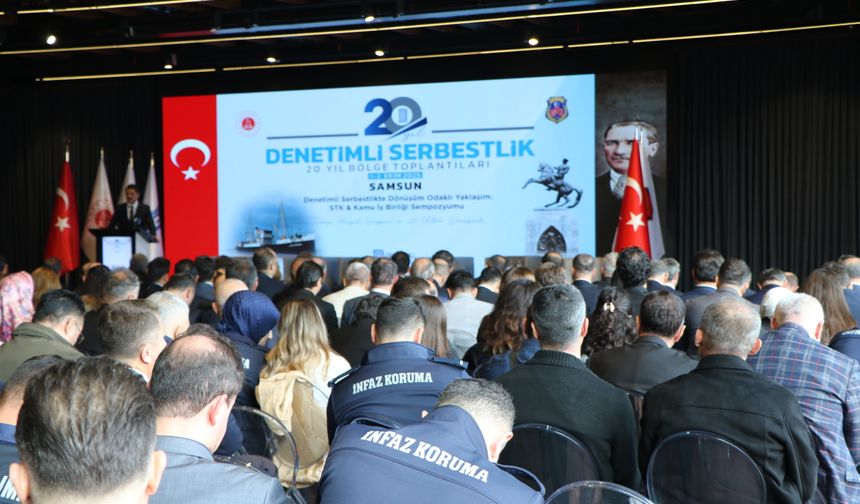 Denetim serbestlik üzerinden 20 yılda 8,6 milyon karar infaz edildi