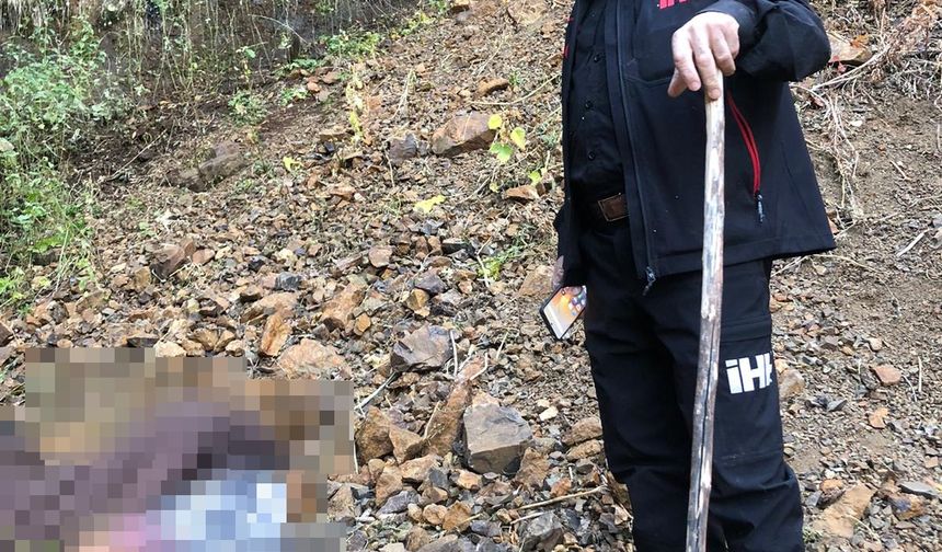 Kayıp Alzheimer hastası ölü bulundu