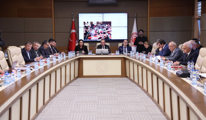 TBMM Engeli Bireylerin Sorunlarını Araştırma Komisyonu toplandı; 33 çocuktan 1'i otizm tanısı alıyor