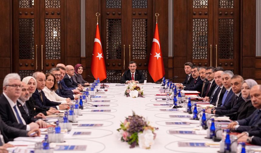 Cevdet Yılmaz: 10 yılda doğurganlık hızı en fazla azalan 5'inci ülke Türkiye