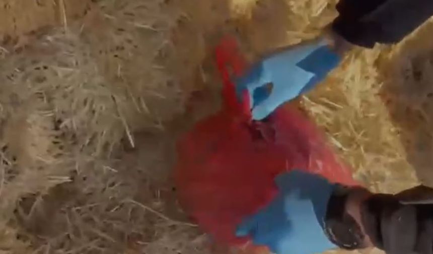 Kayseri'de saman balyaları arasında 1,4 kilo esrar ele geçirildi; 3 gözaltı