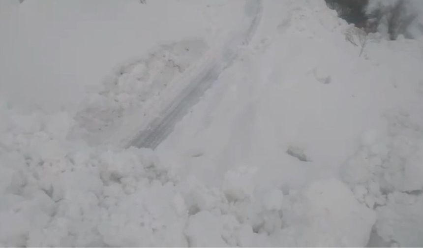 Beytüşşebap'ta çığ nedeniyle 3 köy yolu ulaşıma kapandı