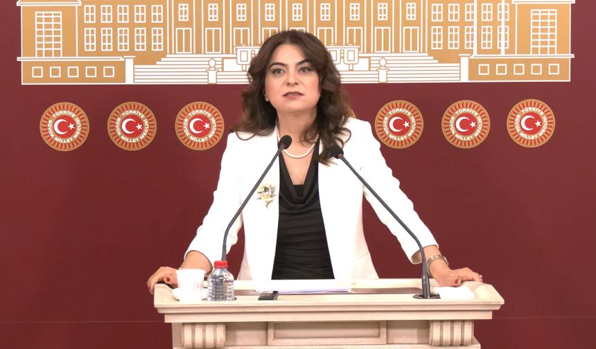 DEM Parti'li Koçyiğit: Türkiye'nin geleceği için rapor önemli bir eşik olacak