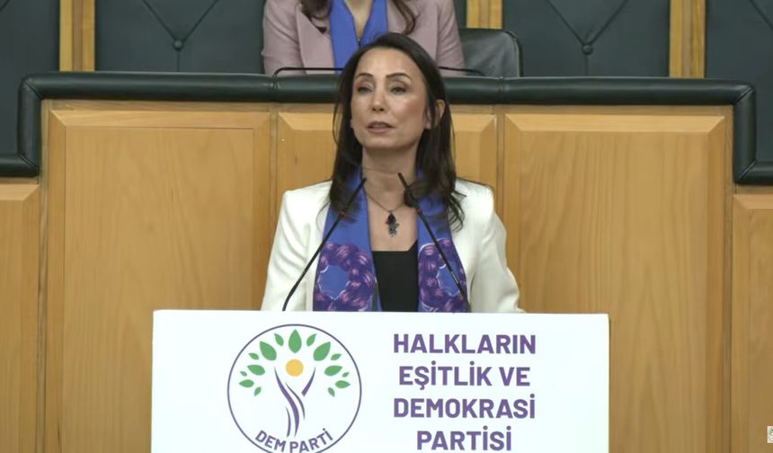 DEM Parti'li Hatimoğulları: AİHM ve AYM kararları uygulanmalı