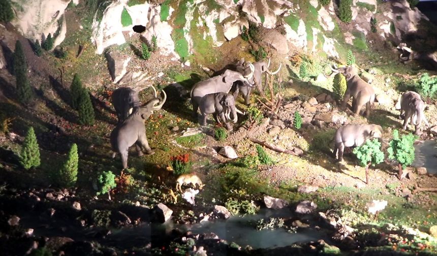 500 bin yıllık mamut fosilinin de sergilendiği müzeyi yaklaşık 100 bin kişi gezdi