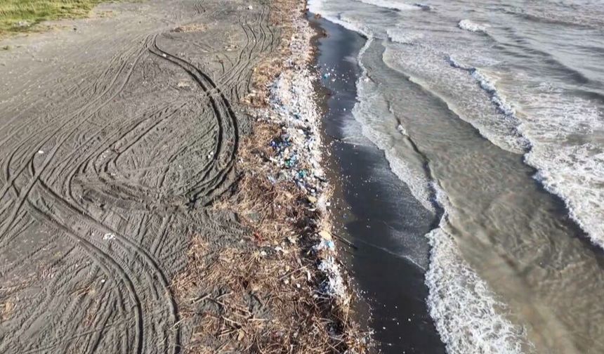 Hatay'da sahili kamış ve odun parçaları kapladı